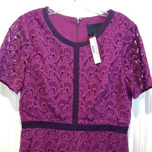 Gorgeous plum cotton eyelet shirt sleeve dress ribbon trim size 10 NWT j crew💜